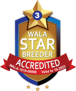 WALA 2023 Accredited Logo for AHDR