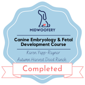 MIdwoofery Certificate - Canine Embryology & Fetal Development Course